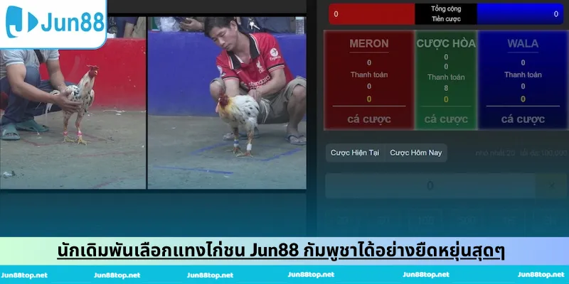 นักเดิมพันเลือกแทงไก่ชน Jun88 กัมพูชาได้อย่างยืดหยุ่นสุดๆ